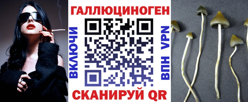 Псилоцибиновые грибы Psilocybe  Ленинградская 